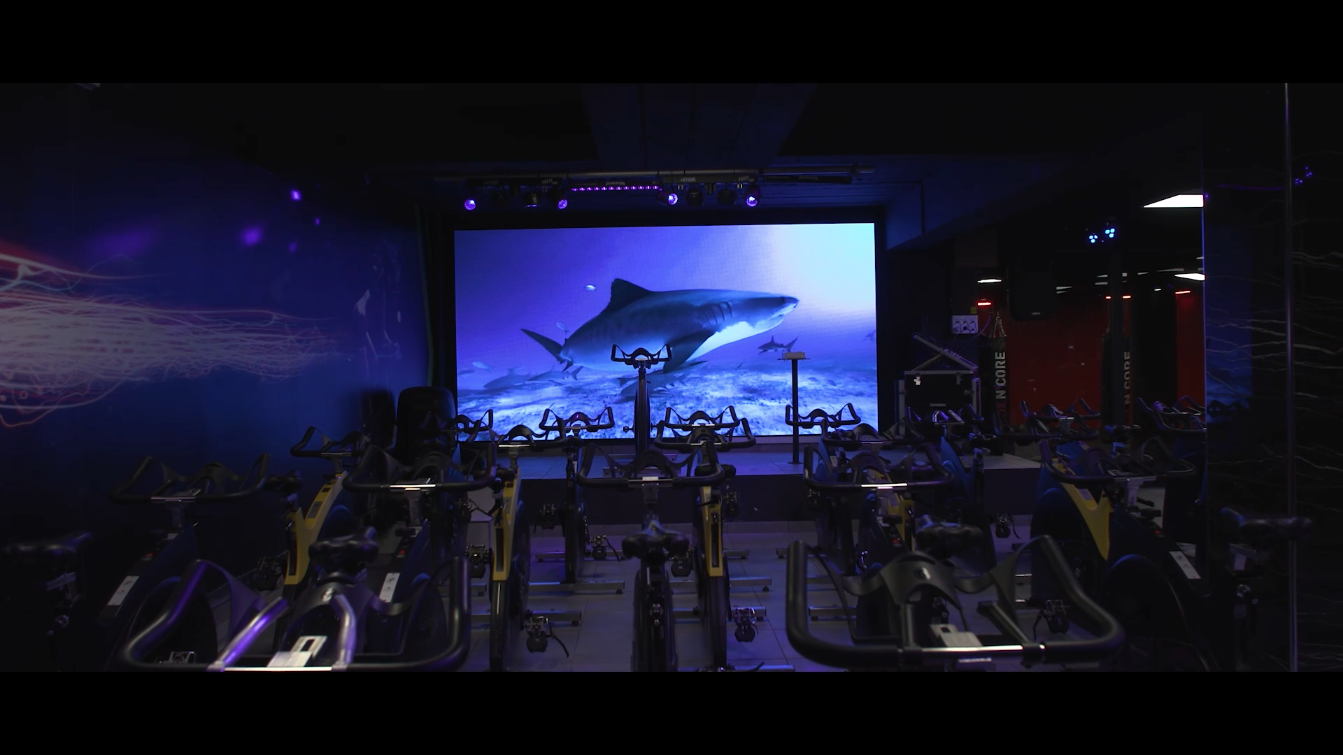 Écran LED RPM - Sport Avenue